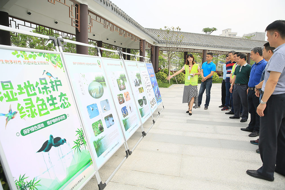 保护生物多样性 共建绿色文明城——“5.22生物多样性日”宣传实践主题活动